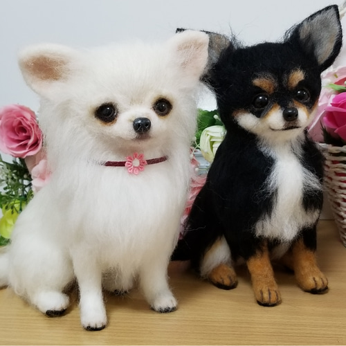 人気 羊毛フェルト チワワちゃん 羊毛 ブラックタンチワワ完成品 羊毛フェルト
