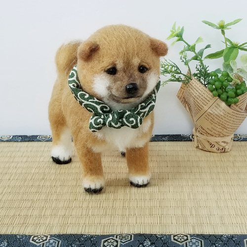 羊毛フェルト 豆柴 柴犬子犬 完成品 羊毛フェルト SweetDog ふぅ