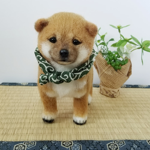 羊毛フェルト 豆柴 柴犬子犬 完成品 羊毛フェルト SweetDog ふぅ