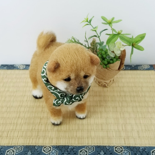 羊毛フェルト　柴犬　子犬 羊毛フェルト 豆柴 柴犬子犬 完成品 羊毛フェルト SweetDog ふぅ