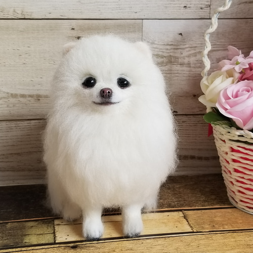 羊毛フェルト ポメラニアン ホワイト 完成品 羊毛フェルト