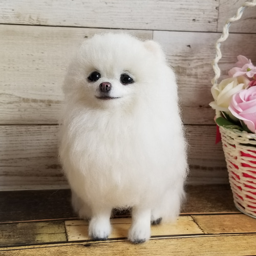 羊毛フェルト ポメラニアン ホワイト 完成品 羊毛フェルト