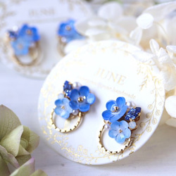 Nemophila bijou*ring 耳環/耳環（藍色、花、禮物） 第1張的照片