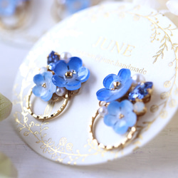 Nemophila bijou*ring 耳環/耳環（藍色、花、禮物） 第2張的照片