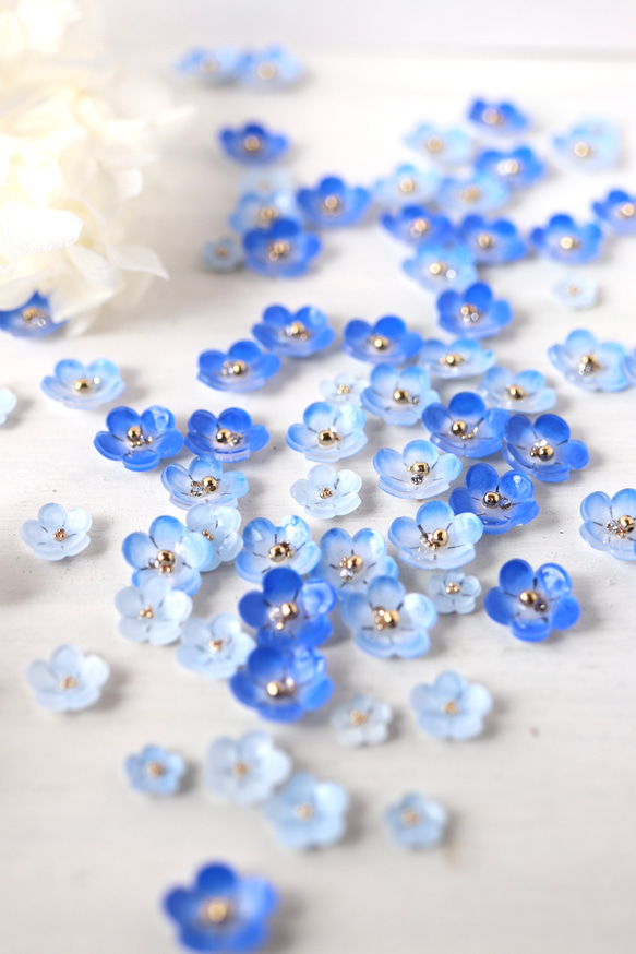 [特集] Nemophila 和閃閃發光的寶石耳環/耳環（右耳）+ 耳夾（左耳） 鮮花，藍色，禮物 第10張的照片