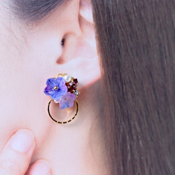 桔梗とbijou*輪っかのピアス／イヤリング 3枚目の画像