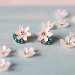 可愛的花朵，施華洛世奇珠寶耳環/耳環 第1張的照片