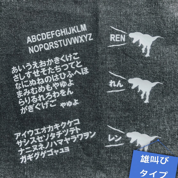 恐竜 猫 名前入り オリジナルマスク 子供マスク　大人マスク入園 入学 春マスク 男の子マスク 女の子マスク 12枚目の画像