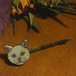 ネコちゃんヘアピン　猫が、じっと見つめている　オッドアイの瞳　白猫 1枚目の画像