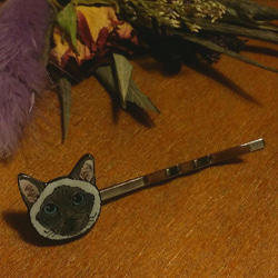 ネコちゃんヘアピン　猫が、じっと見つめている　アイスサファイアの瞳　ポインテッド猫 1枚目の画像