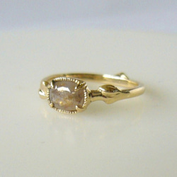 Sold ナチュラルダイヤと植物のK14の指輪(ベージュ) 1枚目の画像