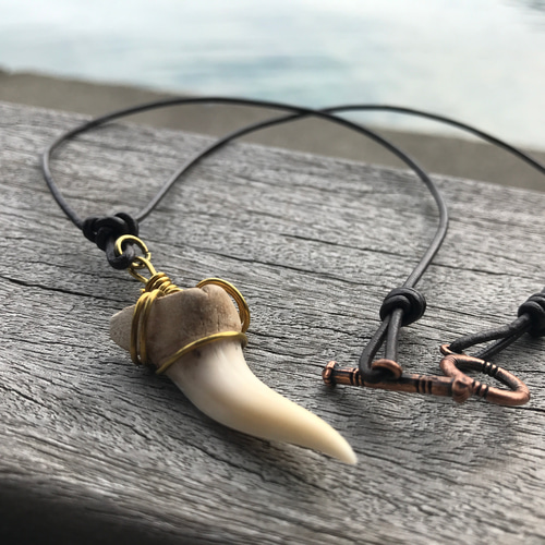 THE BINGOBROTHERS サメの歯ネックレス THE BINGOBROTHERS サメの歯ネックレス ビンゴブラザーズ アンティーク