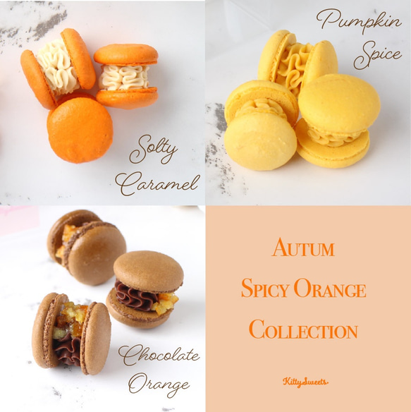 秋マカロン3個入り【Autumn Spicy Orange Macarons】 4枚目の画像