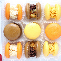 秋マカロン9個入り【Autumn Spicy Orange Macarons】 4枚目の画像