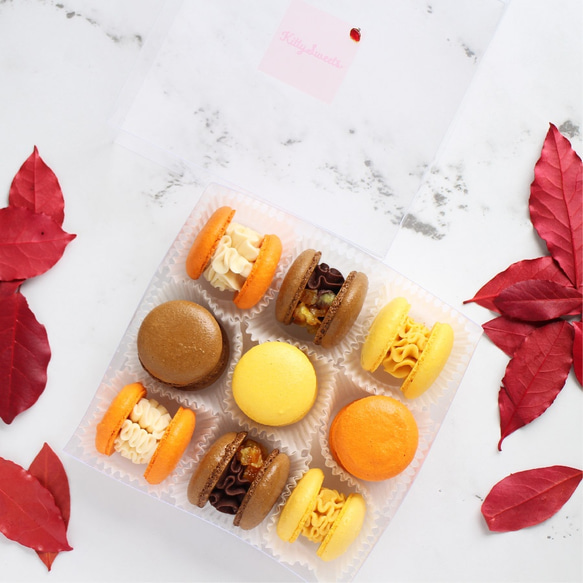 秋マカロン9個入り【Autumn Spicy Orange Macarons】 5枚目の画像