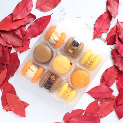 秋マカロン9個入り【Autumn Spicy Orange Macarons】 6枚目の画像