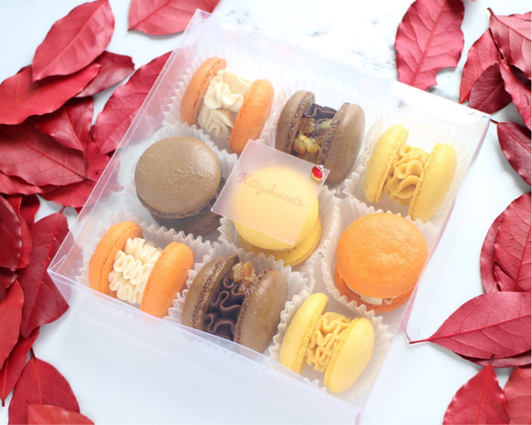 秋マカロン9個入り【Autumn Spicy Orange Macarons】 7枚目の画像