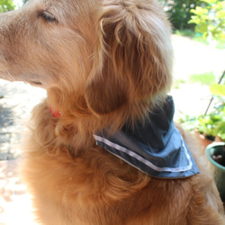 【送料無料】セーラー風　クールバンダナ　バンダナ　犬　わんこ　リバーシブル　S-1 9枚目の画像
