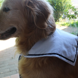 【送料無料】セーラーカラー　犬　わんこ　リバーシブル　大型犬　L-1 2枚目の画像