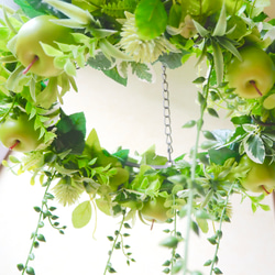 グリーンアップルのフライングリース　35cm ボタニカル　グリーン　誕生日　インテリア　結婚祝い　新築祝い　プレゼント 2枚目の画像