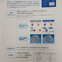 【抗菌マスク】スーパー小顔マスク♡acufactum アクファクタム　バード柄　春マスク　野鳥柄　コマドリ 6枚目の画像