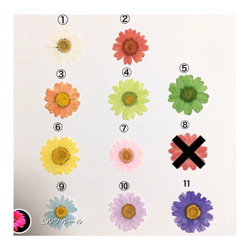 各花色選べます・ラメとイニシャルはオプションです♡押し花スマホケース 再販 7枚目の画像