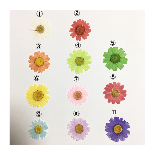 小花の色選べます♡ 押し花ケース ¥3800〜 再販 3枚目の画像