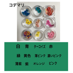 約¥8000〜 デザイン・各花・ケース色選べます♡ 長財布  押し花ケース  再販 10枚目の画像