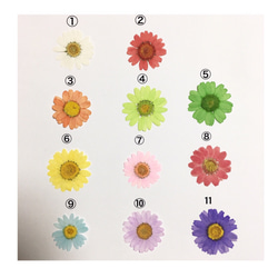 ¥3700〜花色組み合わせ選べます♡全機種対応♡押し花ケース 3枚目の画像