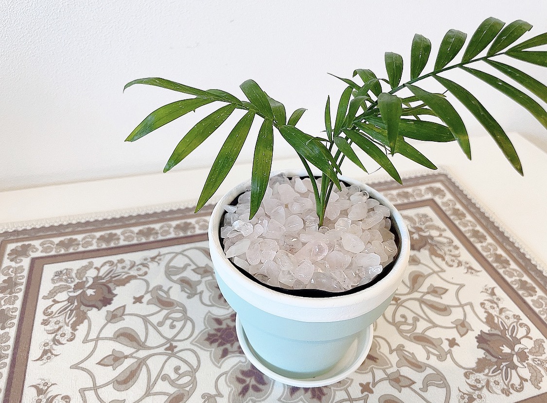 値下げしました。細れ石「さざれいし」花器 【公式通販】