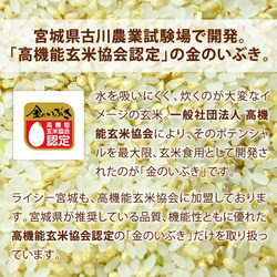 金のいぶき 玄米 お試し 1kg 送料無料 高機能玄米協会認定 宮城県産 令和3年産 2枚目の画像