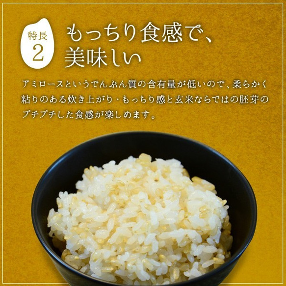 金のいぶき 玄米 お試し 1kg 送料無料 高機能玄米協会認定 宮城県産 令和3年産 4枚目の画像