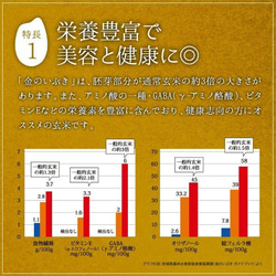 金のいぶき 玄米 5kg 真空圧縮パック 高機能玄米協会認定 宮城県産 令和5年産 3枚目の画像