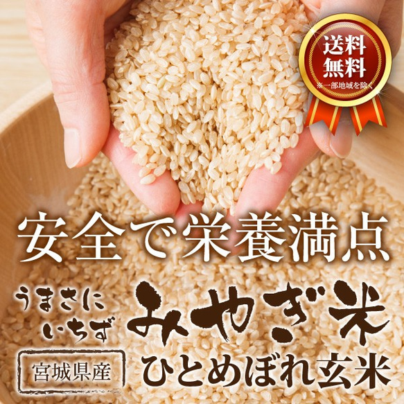 玄米 ひとめぼれ 3kg 宮城県産 少量 令和5年産 農家直送 国内産米 検査米 2枚目の画像