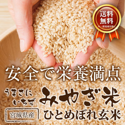 玄米 ひとめぼれ 6kg 宮城県産 小分け 令和5年産 農家直送 国内産米 検査米 2枚目の画像