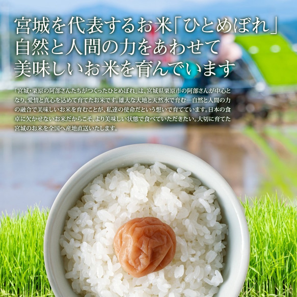 玄米 ひとめぼれ 6kg 宮城県産 小分け 令和5年産 農家直送 国内産米 検査米 3枚目の画像