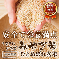 玄米 ひとめぼれ 9kg 宮城県産 小分け 令和5年産 農家直送 国内産米 検査米 2枚目の画像