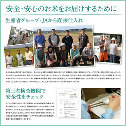 玄米 ひとめぼれ 9kg 宮城県産 小分け 令和5年産 農家直送 国内産米 検査米 6枚目の画像