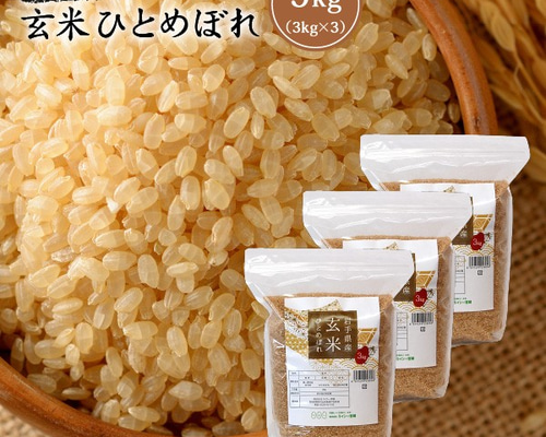 ひとめぼれ 20Kg 宮城県産　玄米 令和6年産 新米】宮城県産ひとめぼれ玄米20キロ送料無料