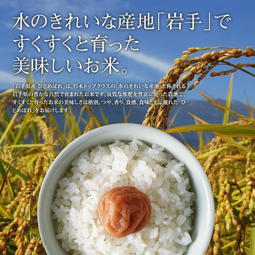 玄米 ひとめぼれ 9kg 岩手県産 小分け 令和5年産 農家直送 国内