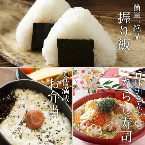 玄米 ひとめぼれ 9kg 岩手県産 小分け 令和5年産 農家直送 国内