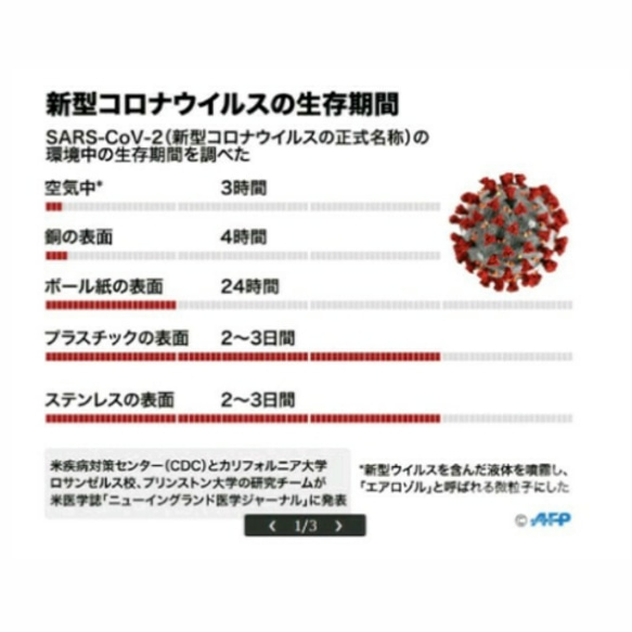 【コロナ対策】ペンスタンド 真鍮 1本タイプ ペン立て ペンケース 金属 6枚目の画像