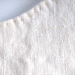 【手縫い】夏マスク(立体) フィルターポケット付き　Mサイズ(カマイルカ) 5枚目の画像