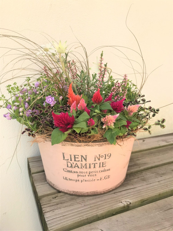 ガーデン おまかせ♪ 季節の寄せ植え2021.秋～冬 アンティーク