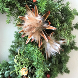 ☆納期短縮！！自然素材100％フレッシュ＆ドライフラワー　フレッシュグリーンと木の実のクリスマスリース2021 4枚目の画像