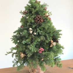 自然素材100％フレッシュ＆ドライフラワー　フレッシュグリーンと木の実のクリスマスツリー2021 1枚目の画像