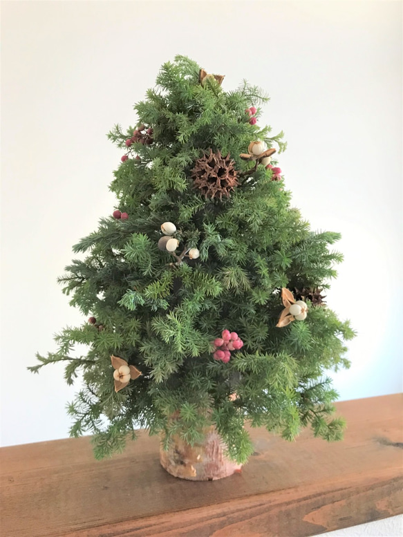 自然素材100％フレッシュ＆ドライフラワー フレッシュグリーンと