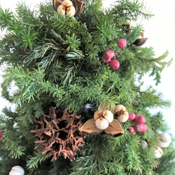自然素材100％フレッシュ＆ドライフラワー　フレッシュグリーンと木の実のクリスマスツリー2021 2枚目の画像