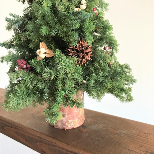 魔女の棲む森 木の実のクリスマスツリー ドライフラワー 魔女の棲む森 木の実のクリスマスツリー ドライフラワー 魔女の