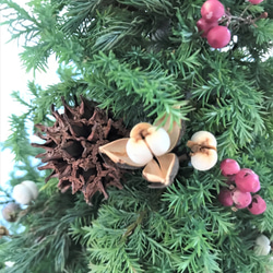 自然素材100％フレッシュ＆ドライフラワー　フレッシュグリーンと木の実のクリスマスツリー2021 4枚目の画像